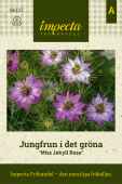 En sommerdans