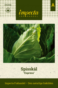 En suksess på kjøkkenet