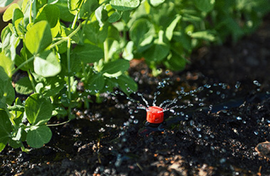 Solcelledrevet vanning − slik fungerer det