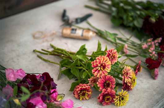 Hva er Slow Flower?
