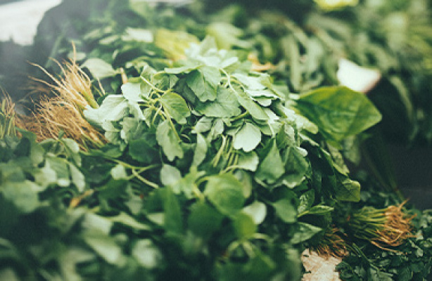 Krydderurter - til duft, smag og skønhed