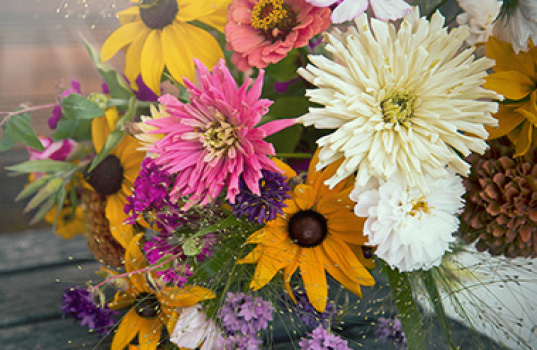 Hagens avskårne blomster og buketter