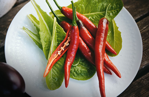 Lær deg å dyrke chili og paprika