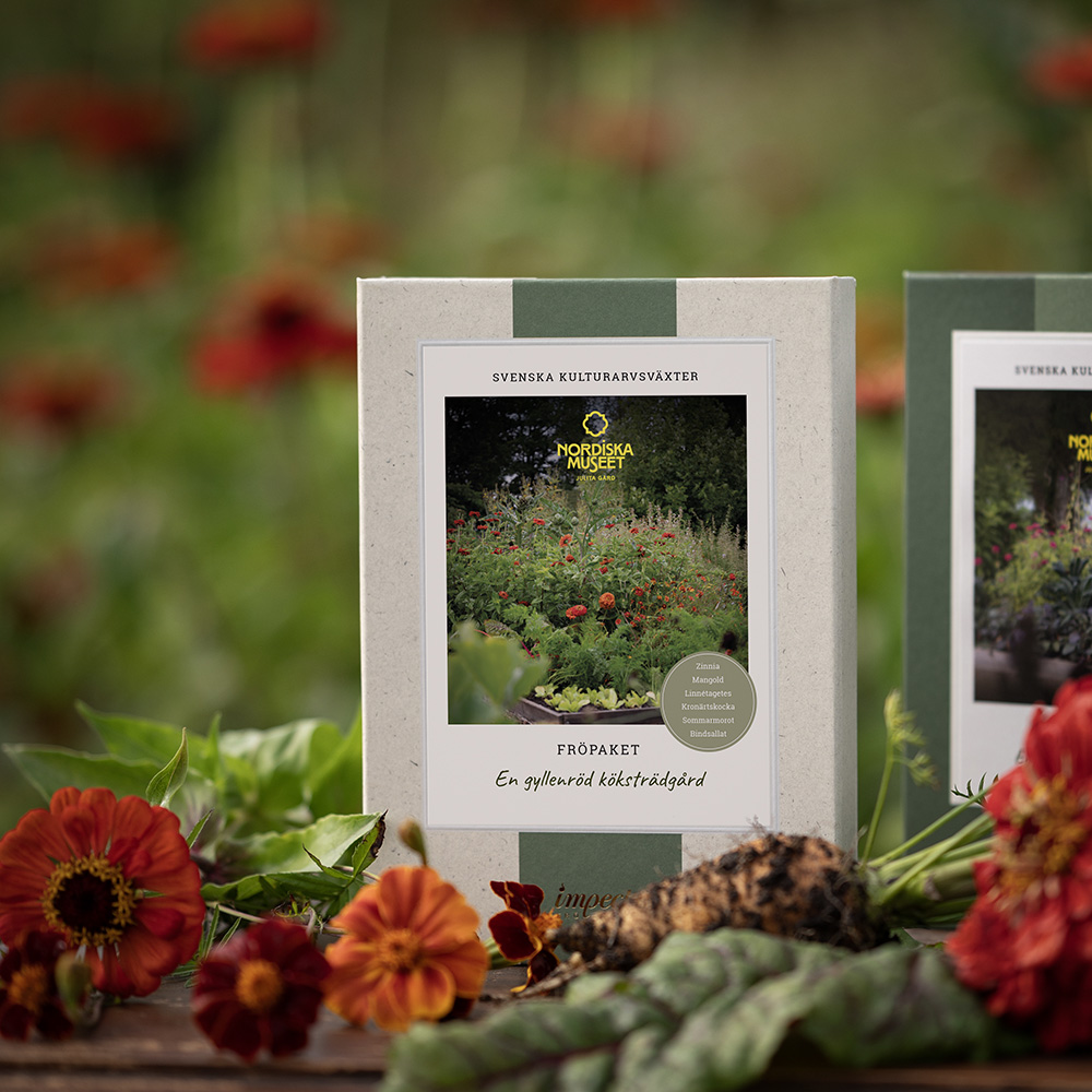 En gyllenrød kjøkkenhage