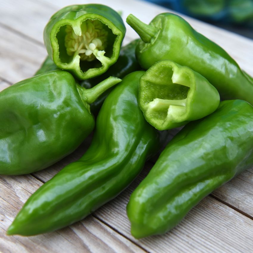 Chilipepper 'Padron' i gruppen Frø / Grønnsaker hos Impecta Fröhandel (23223)