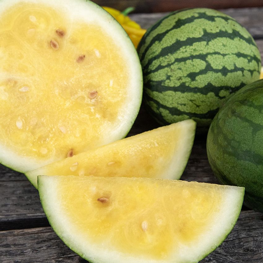 Vannmelon 'Janosik', lett ovale frukter med mørke striper og solgult, svært saftig, sprøtt og søtt fruktkjøtt.