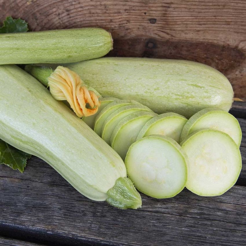 Squash 'Long White from Sicily' i gruppen Frø / Grønnsaker hos Impecta Fröhandel (29658)