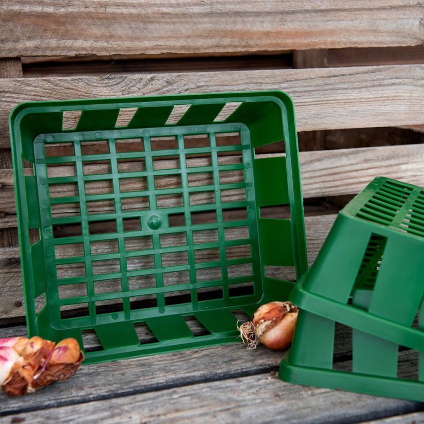 Løkkurv 23x21 cm - Pakke á 3 stk. i gruppen Tilbehør hos Impecta Fröhandel (51452)