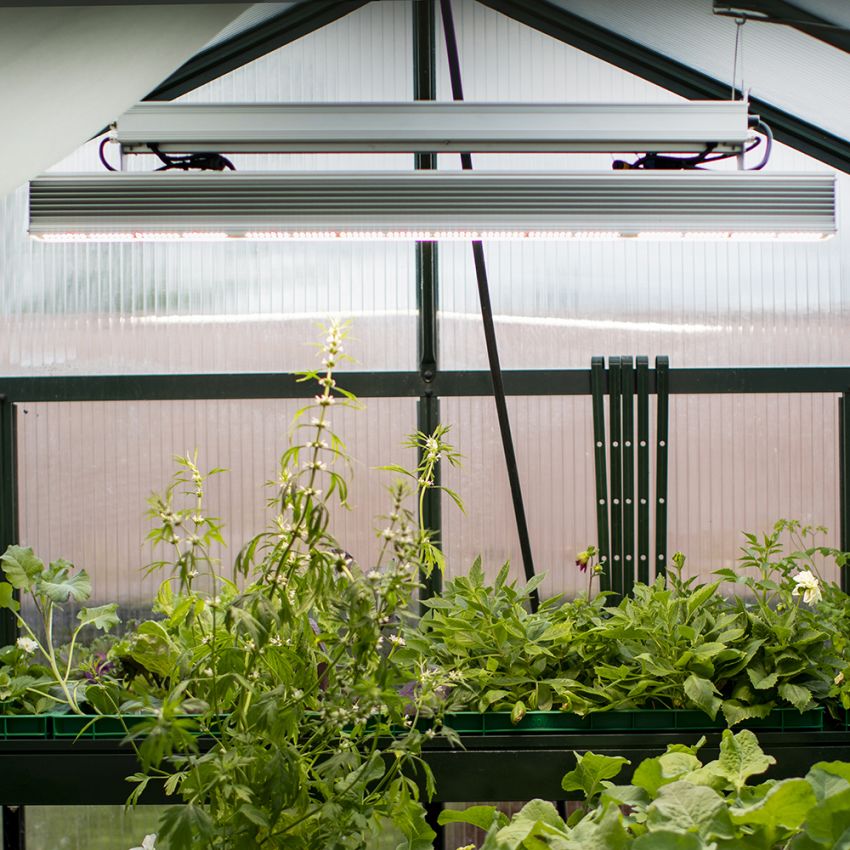 Vekstlys PROFF LED 115 cm 530W i gruppen Tilbehør / Plantebelysning hos Impecta Fröhandel (55827)