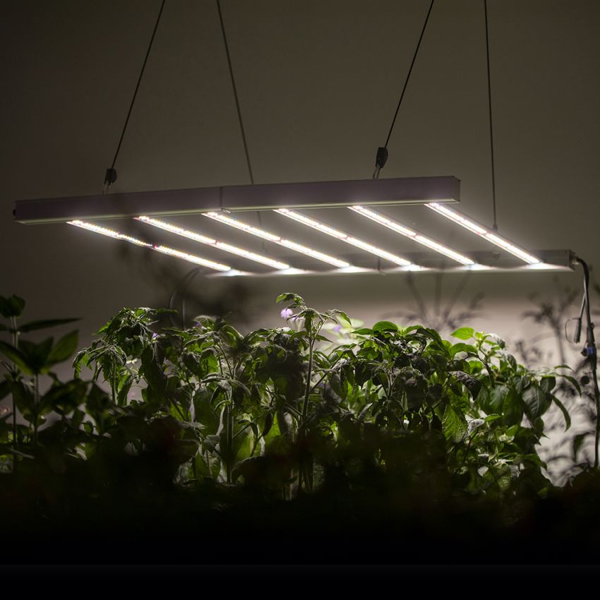 Vekstlys PROFF LED 110x110 cm 480W i gruppen Tilbehør / Plantebelysning hos Impecta Fröhandel (55830)