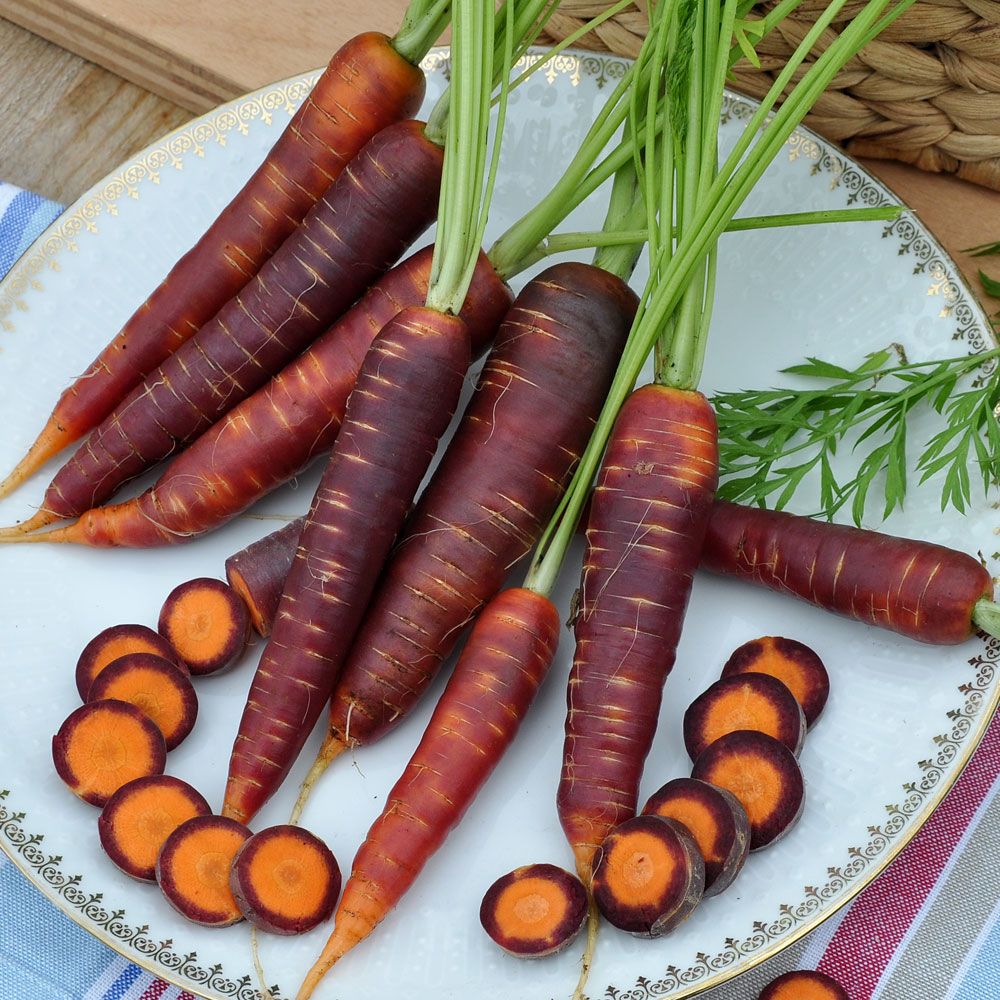 Sommergulrot F1 'Purple Haze' i gruppen Frø / Grønnsaker hos Impecta Fröhandel (9372)