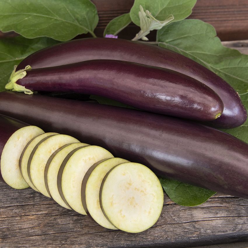 Aubergine ''Violetta lunga 3'', Avlange, purpursvarte frukter med hvitt fruktkjø