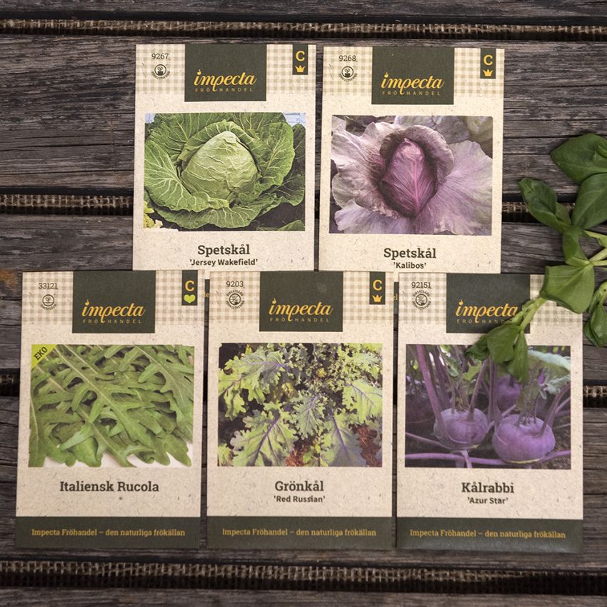 Farbror Gröns beste - kålplanter i gruppen Dyrketips / Farbror Gröns beste hos Impecta Fröhandel (H1002)