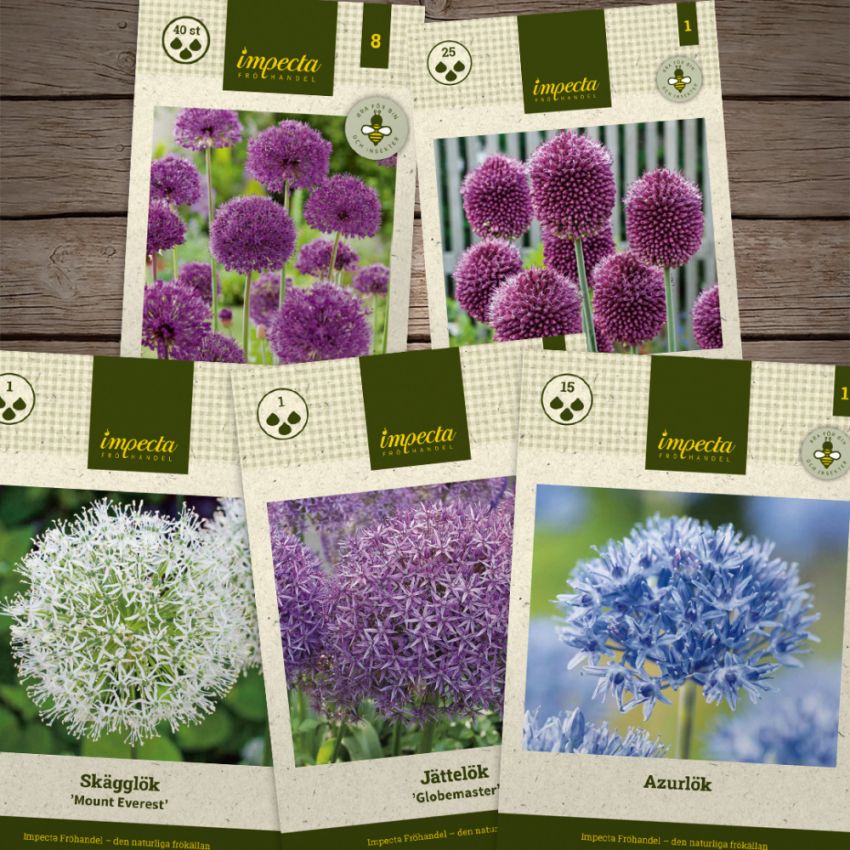 Blomstrende allium i gruppen Løk og knoller / Vårblomstrende løker og knoller / Temapakket løk hos Impecta Fröhandel (H1022)