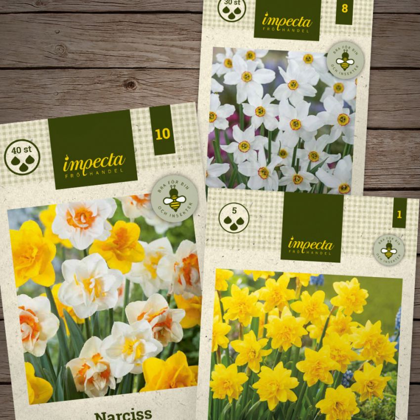 Tre skjønne påskeliljer i gruppen Løk og knoller / Vårblomstrende løker og knoller / Temapakket løk hos Impecta Fröhandel (H1026)