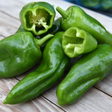 Chilipepper 'Padron'