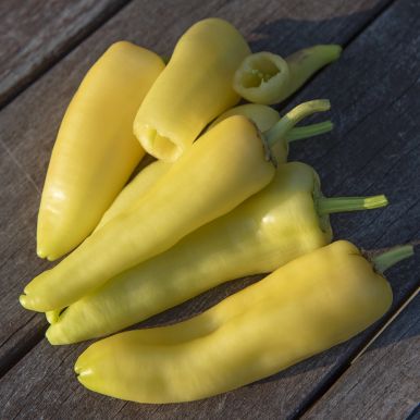 Chilipepper 'Sweet Banana'