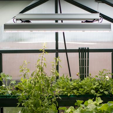 Vekstlys PROFF LED 115 cm 530W
