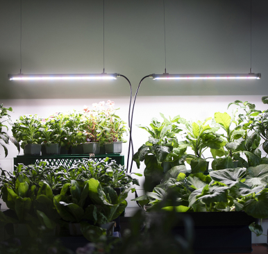 Vekstlys PROFF LED 60 cm - 40 watt (Utvidelse)