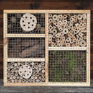 Insekthotell box