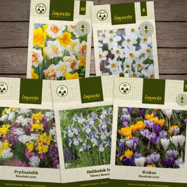Blomster for insekter