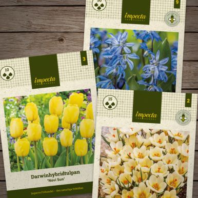 Lasagneplanting