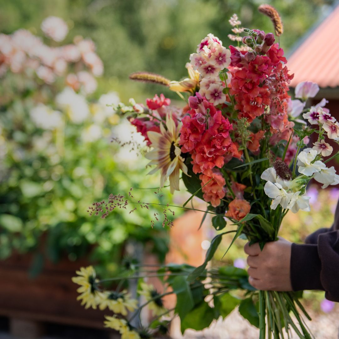 Ettårige blomster