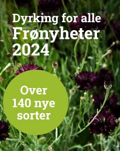 Frønyheter 2024