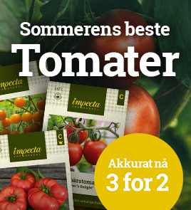 tomater - 3 for 2