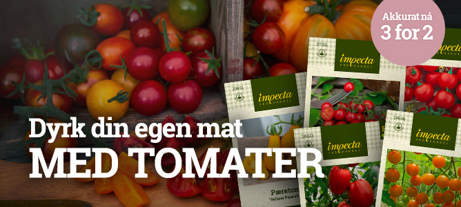 Tomater - 3 för 2