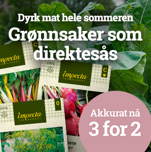 Grønnsaker som direktesås