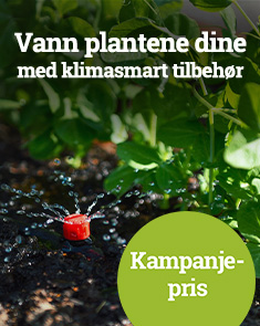 Vann plantene dine