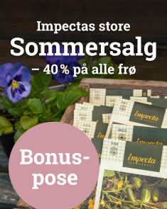 Sommersalg 2023