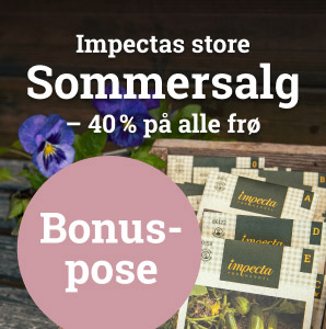 Sommersalg 2023