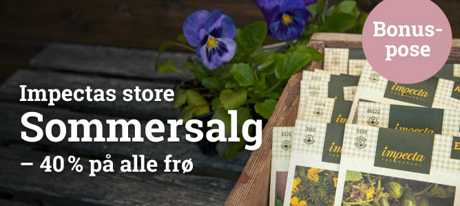 Sommersalg 2023
