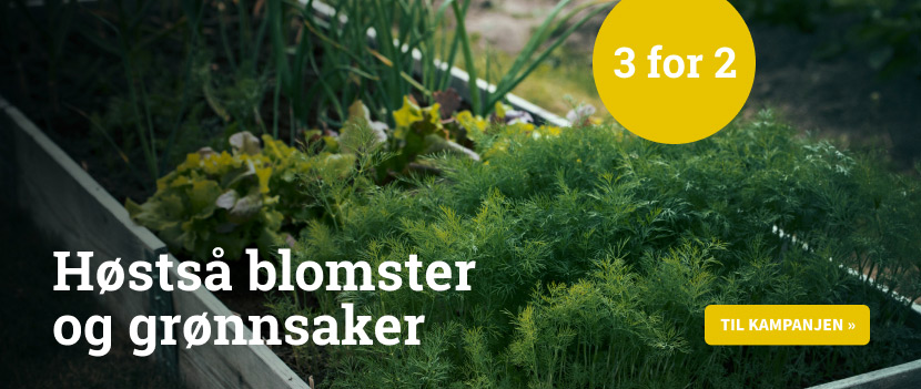 Høstså - 3 för 2