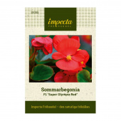 Sommerbegonia F1 'Super Olympia Red'