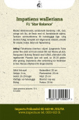 Flittig Lise F1 'Star Balance'