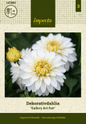 Dekorative georginer ''Gallery Art Fair'' 1 stk.