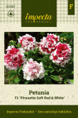Petunia F1 'Pirouette Soft Red & White'