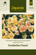 Prydløvemunn F1 'DoubleShot Peach', blomster i myke nyanser av terrakotta, gult og aprikos på svært stødige stilker.