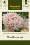 Sommerasters 'King Size Apricot', Fin sensommerblomst med ekstra lang holdbarhet til snitt og blomsterbed.