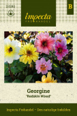 Georgine ''Redskin Mixed'' Impecta frøpose