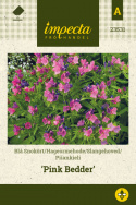 Hageormehode ''Pink Bedder''