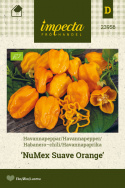 Habanero 'NuMex Suave Orange', Blanke, flammende gule frukter på ca. 2,5–4 cm med dype furer og tynne vegger. 