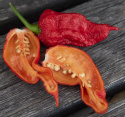 Habanero 'Carolina Reaper', Innehar rekorden for verdens sterkeste chili. 
