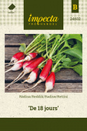 Reddik ''De 18 jours''