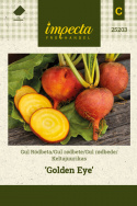 Gul rødbete ''Golden Eye''