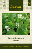 Wasabiruccola 'Wasabi'
