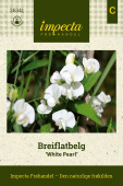 Breiflatbelg 'White Pearl'